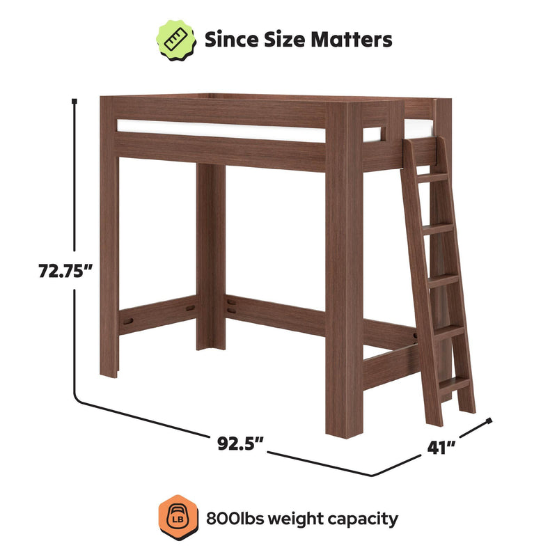 Brown wooden loft bed with ladder and open under-bed space, dimensions 92.5 in L × 41 in W × 72.75 in H, 800 lb weight capacity, sturdy modern elevated wood loft bed for kids and adults