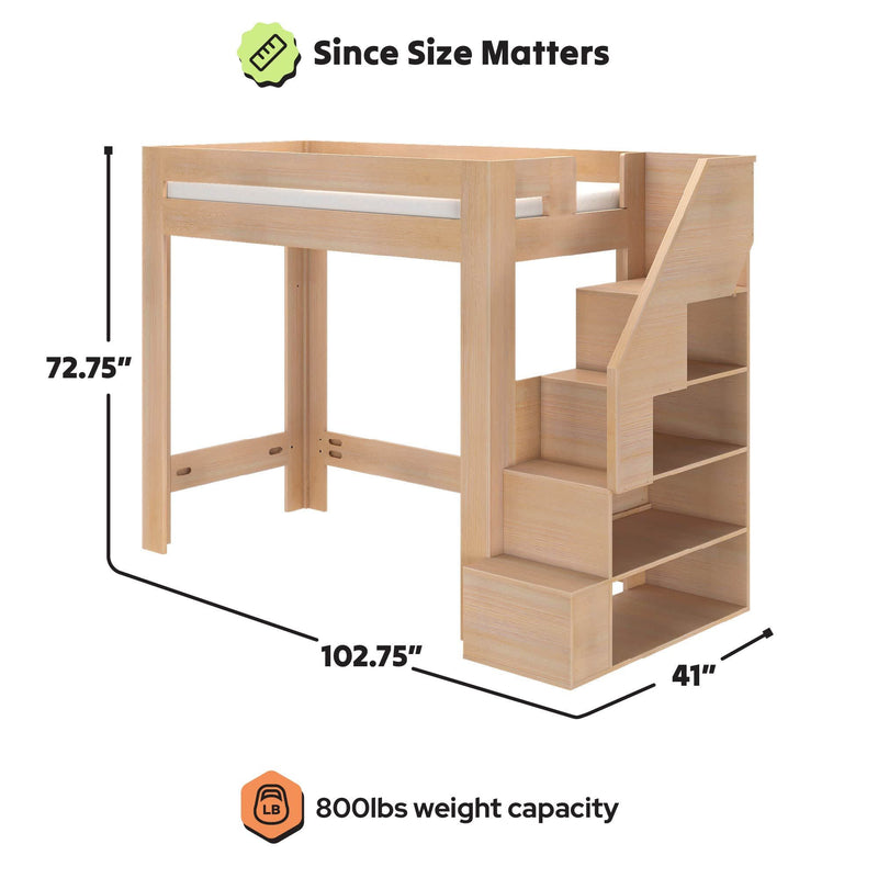 Natural wood loft bed with integrated staircase and open shelving for storage — space-saving bedroom furniture, 72.75" H x 102.75" L x 41" D, 800 lb weight capacity