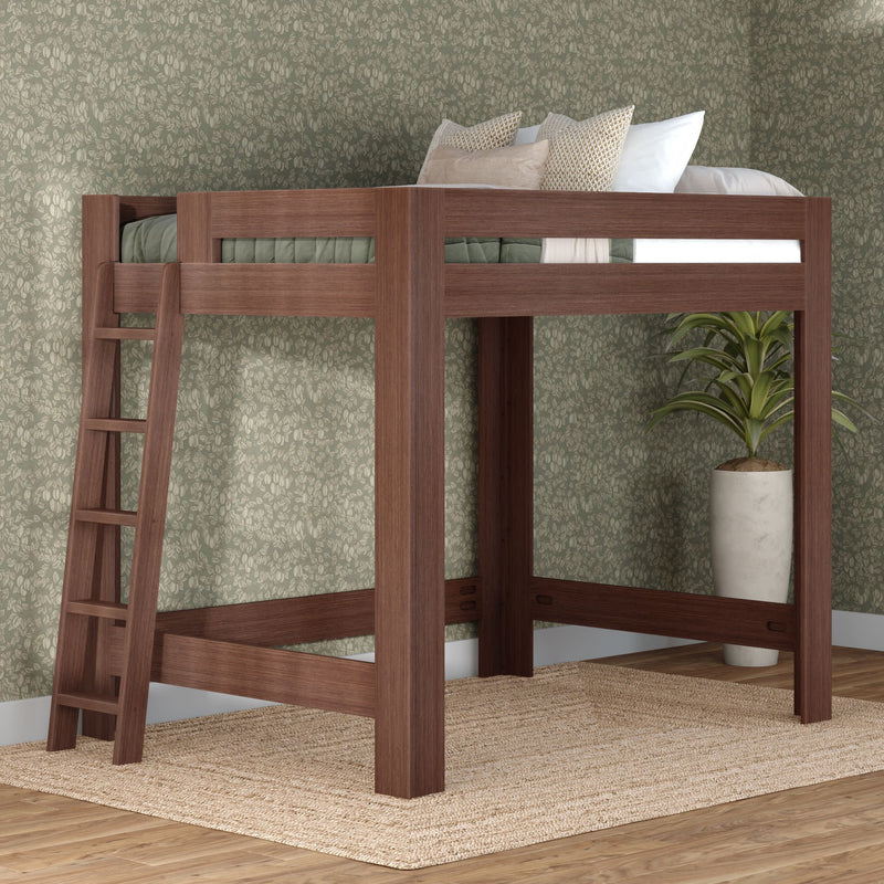 Walnut solid wood twin loft bed with ladder, raised platform and open under-bed space in modern bedroom setting