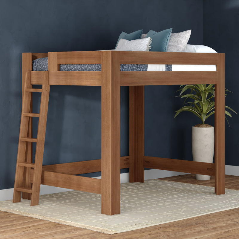 Solid wood twin loft bed with ladder and oak finish in modern bedroom setting with dark blue accent wall, decorative pillows, potted plant and area rug