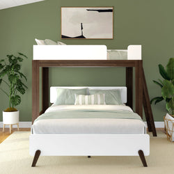 Stylish bunk beds with modern design in a cozy bedroom featuring green walls and house plants.
