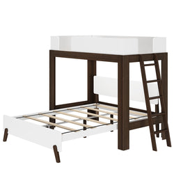 Modern wooden loft bunk bed with ladder and white accents for kids' bedroom.