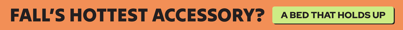Banner with text "Fall's Hottest Accessory? A Bed That Holds Up" on an orange and green background.