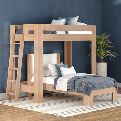 Modern natural wood loft bunk bed with ladder, upper bunk and lower bed dressed in blue and gray bedding, striped area rug, potted plant and navy accent wall in a contemporary bedroom