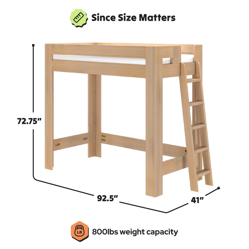 Light natural wood twin-size loft bed with angled ladder, 72.75" H x 92.5" L x 41" D, 800 lbs weight capacity, space-saving raised platform for under-bed storage