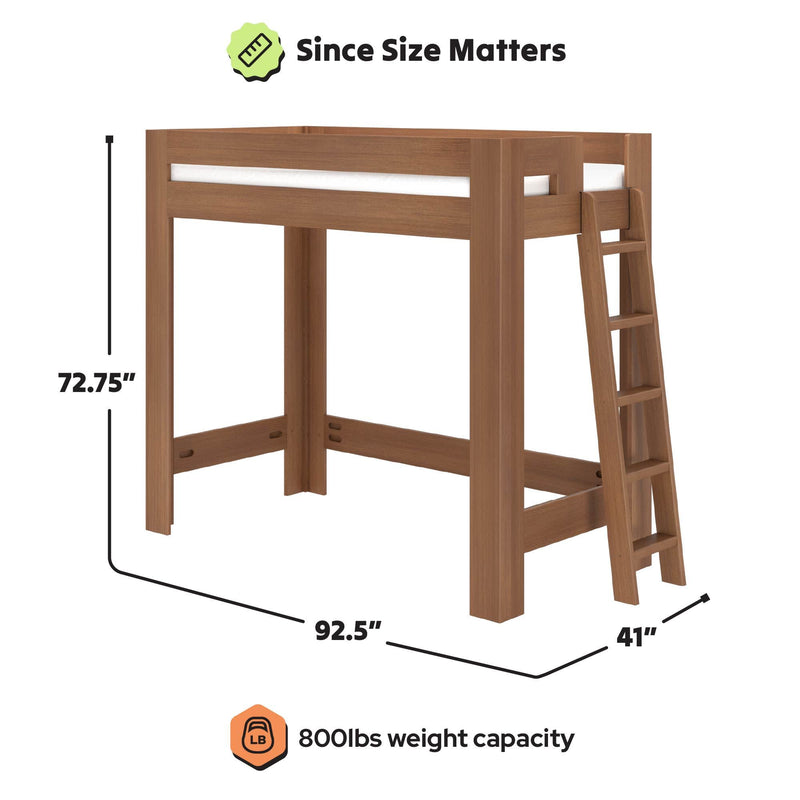 Solid wood loft bed frame with angled ladder, open under-bed space, and durable construction — 72.75" H × 92.5" L × 41" D with 800 lbs weight capacity