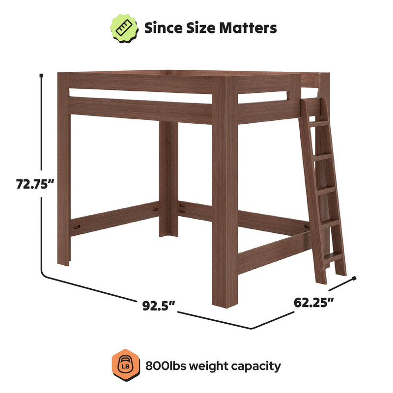 Dark walnut wooden loft bed frame with ladder and open under-bed space, heavy-duty 800 lb weight capacity, dimensions 92.5 in L x 62.25 in W x 72.75 in H