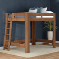 Solid wood twin loft bed with ladder and oak finish in modern bedroom setting with dark blue accent wall, decorative pillows, potted plant and area rug