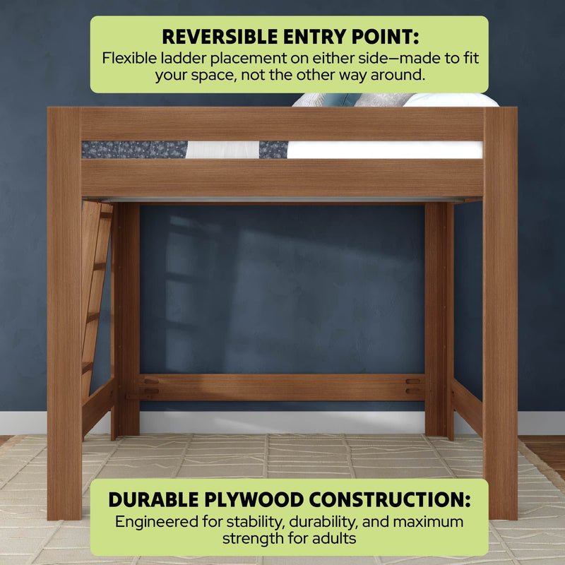 Modern wooden loft bed with durable plywood construction, reversible ladder placement, sturdy adult-strength frame, space-saving elevated bed in walnut finish