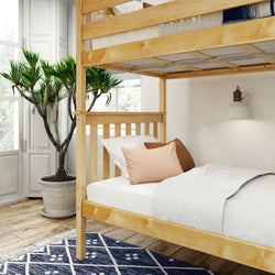 Cozy bedroom with wooden bunk bed, potted plant, and geometric rug.
