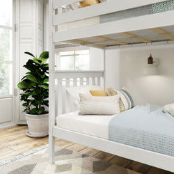 White bunk bed in a cozy bedroom with modern decor, featuring soft bedding, decorative pillows, and a large potted plant by a sunlit window.