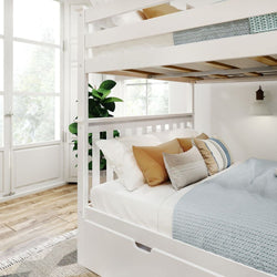 White bunk bed with cozy bedding and cushions in a sunlit room featuring wooden flooring and a green potted plant.
