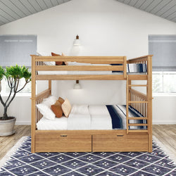 Wooden bunk bed in a modern bedroom with blue-patterned rug and large plant.