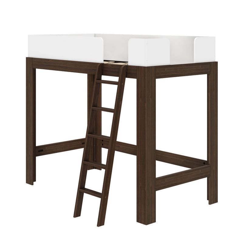 Dark walnut wood loft bed with angled ladder and white safety rails — modern space-saving elevated bed frame for kids' bedroom or studio apartments