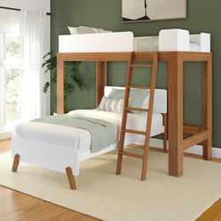 Modern wooden loft bed with ladder in green-themed bedroom.