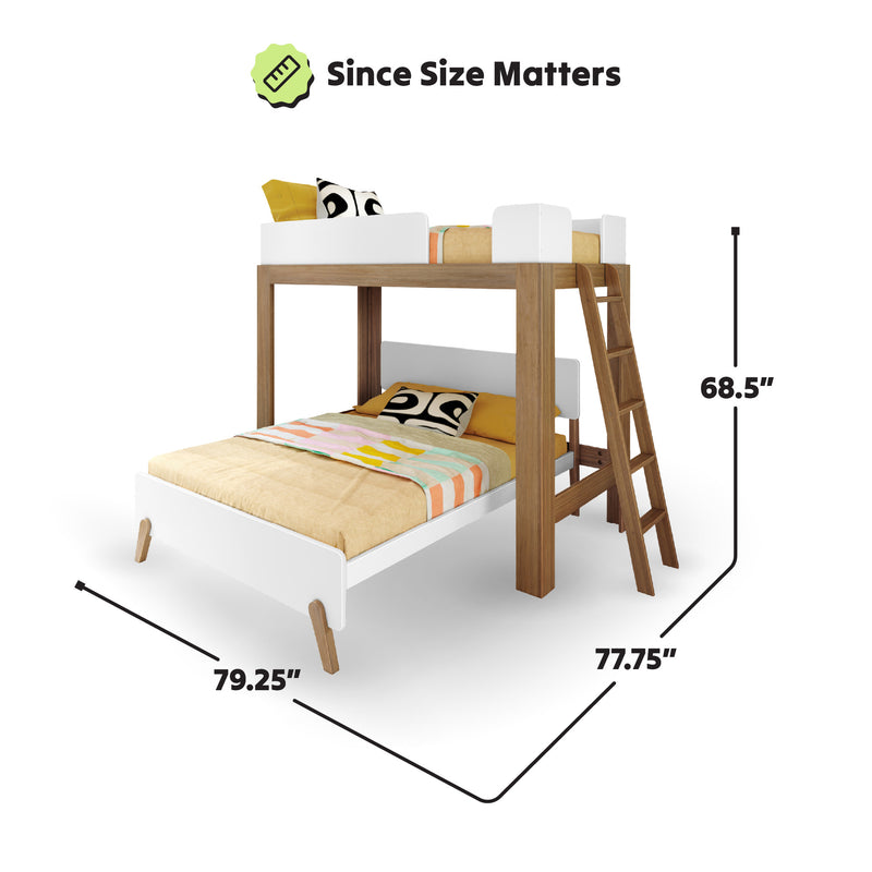 Modern wooden bunk bed dimensions with ladder and colorful bedding.