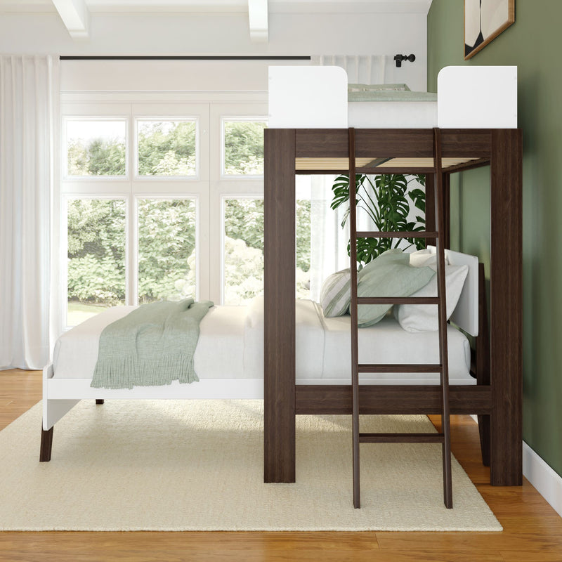 Stylish loft bed with ladder and cozy bedding in modern bedroom with green accent wall.