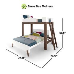 Loft bunk bed with measurements: 79.25 inches length, 77.75 inches width, 68.5 inches height, ideal for small spaces.