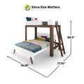 Loft bunk bed with measurements: 79.25 inches length, 77.75 inches width, 68.5 inches height, ideal for small spaces.