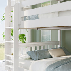 White wooden bunk bed in a coastal bedroom with teal bedding, ladder, leafy houseplant, and framed ocean print